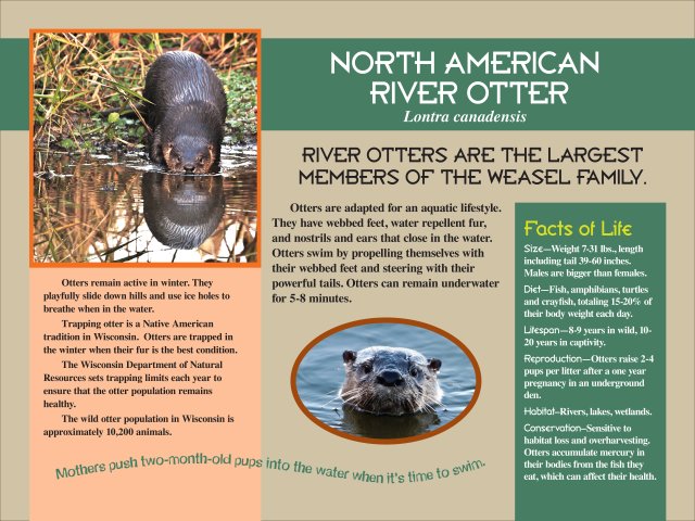 Otter Exhibit Sign Oshkosh Zoo
